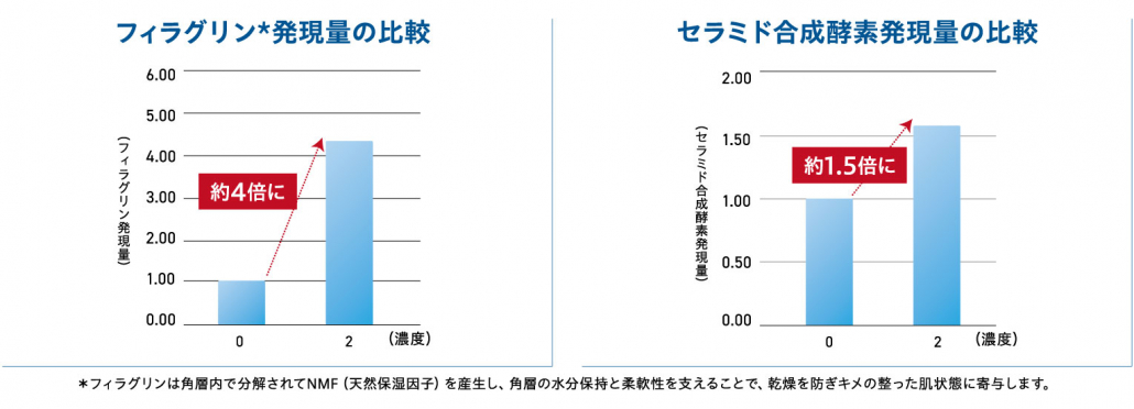 グラフ1